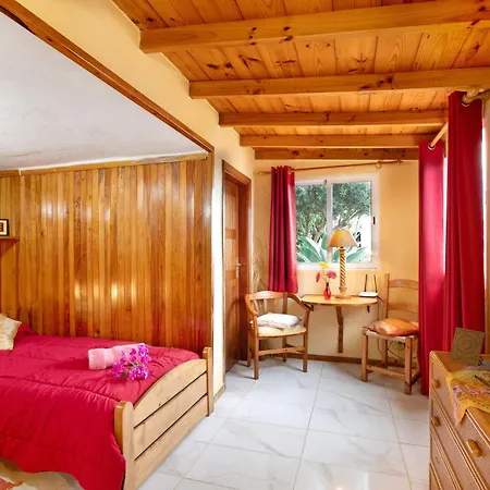 Welcome In Paradise Apartment